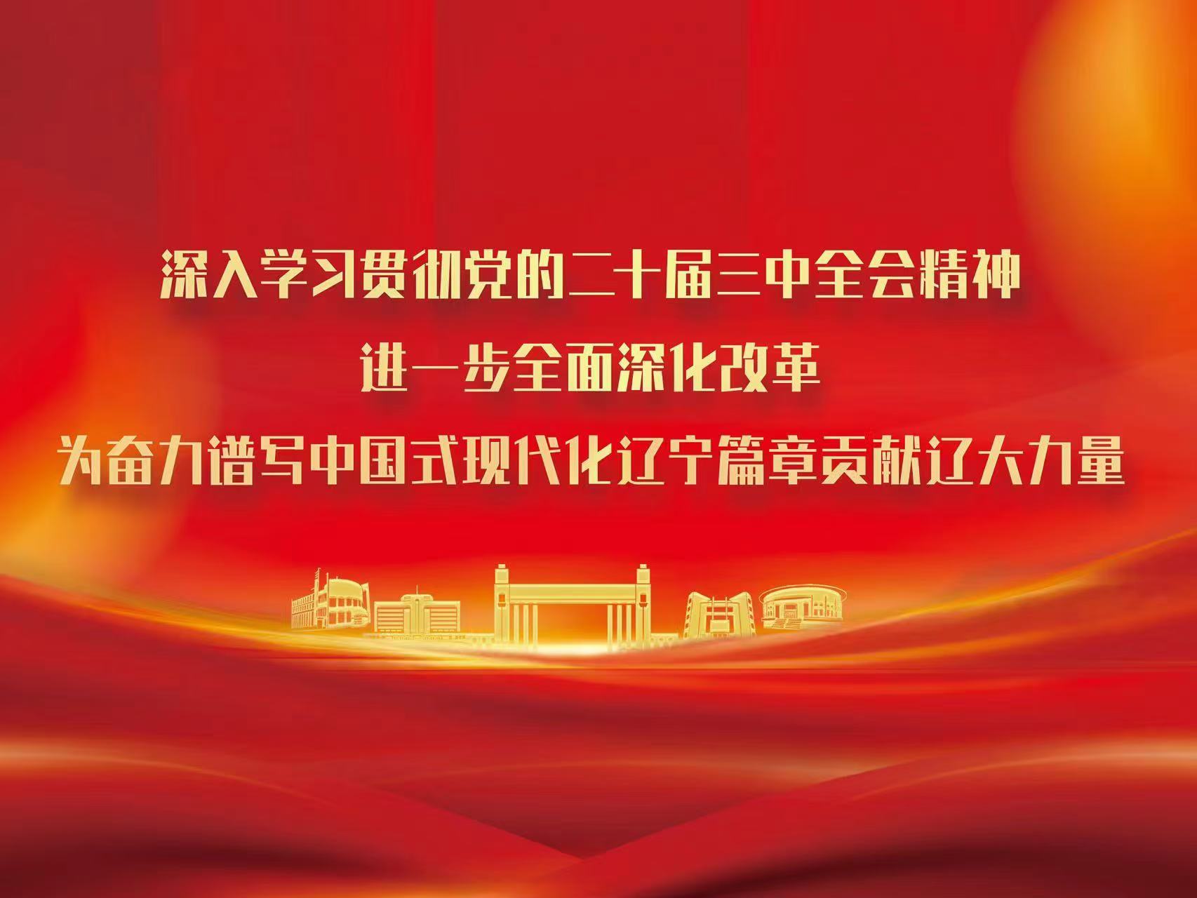 深入贯彻学习党的二十届三中全会精神